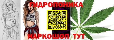 ГАЛЛЮЦИНОГЕННЫЕ ГРИБЫ Беслан