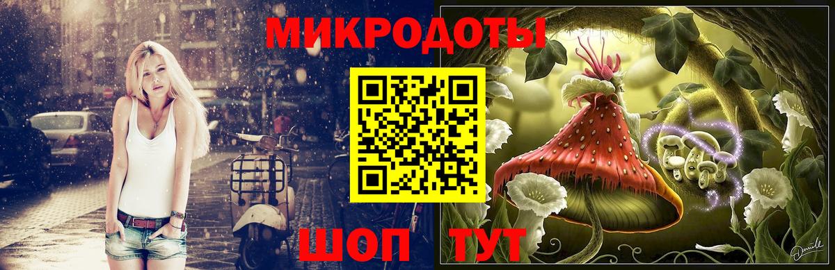 Каменка  Псилоцибиновые грибы прущие грибы  Вход с VPN 