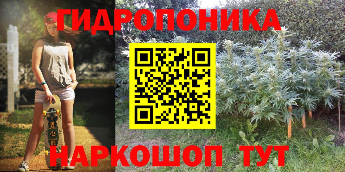 Шишки марихуана SATIVA & INDICA  Вход с VPN  Бошки марихуана гибрид  Каменка  Конопля White Widow 